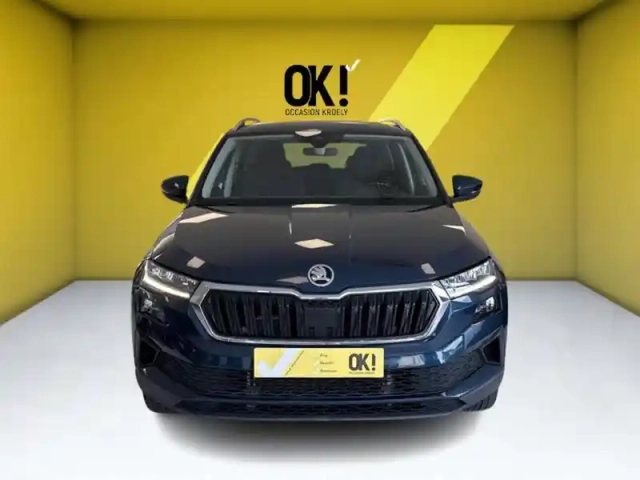 Skoda Karoq style ambition car play caméra — photo 8