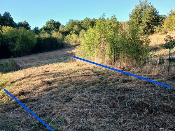 Terrain constructible avant les bois