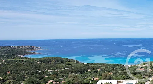 Terrain 1978 m²