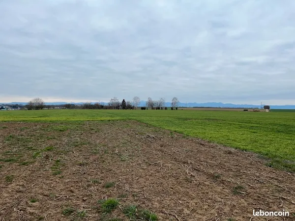 Terrain 1131m² Joze