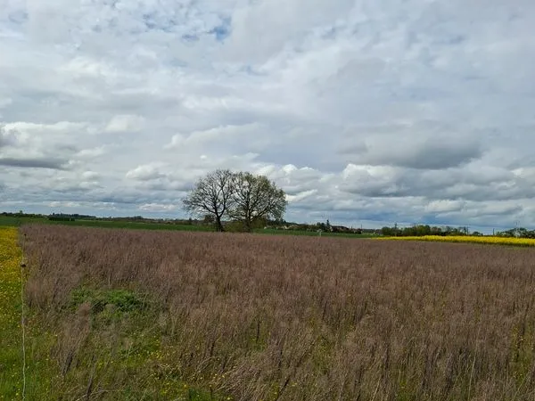 Terrain agricole