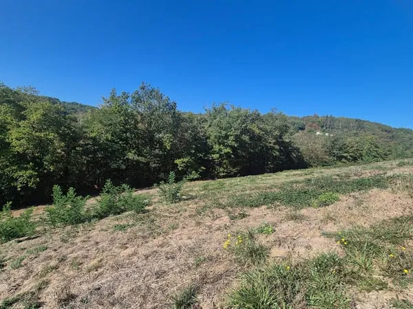 Terrain 1188 m²