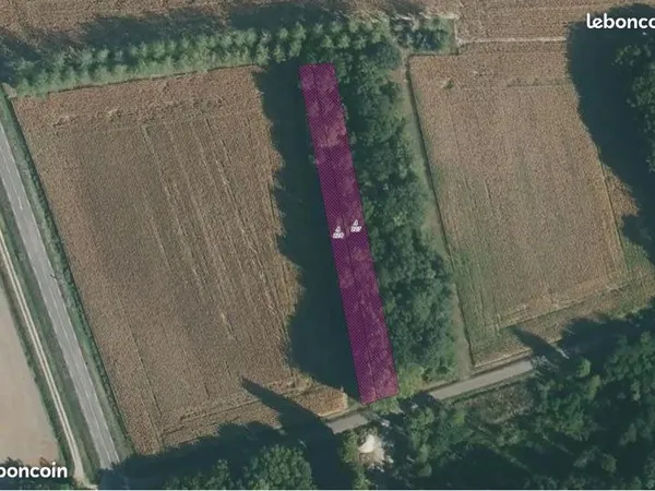 Terrain boisé 2140 m2 avec bois sur pied - GLANON (21)