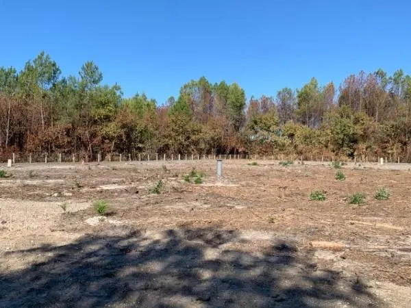 Terrain 870 m² Lege Cap Ferret
