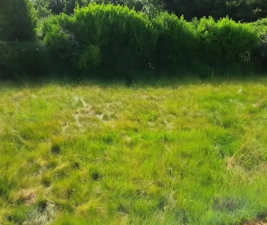 Terrain 236 m² Guipavas
