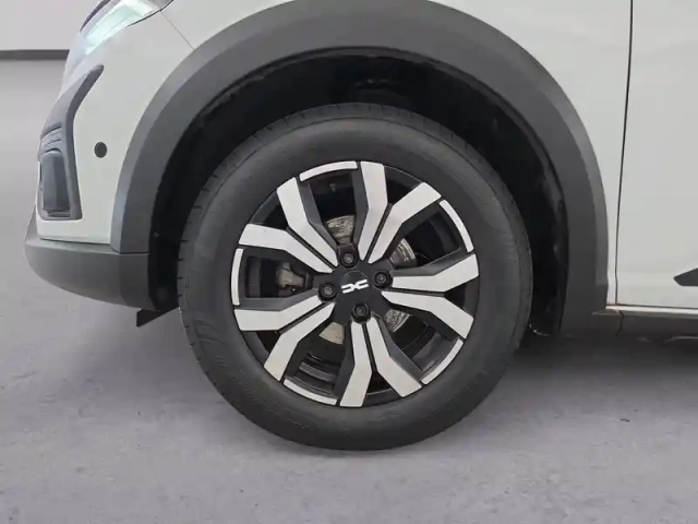 Dacia Sandero eco-g 100 — photo 391