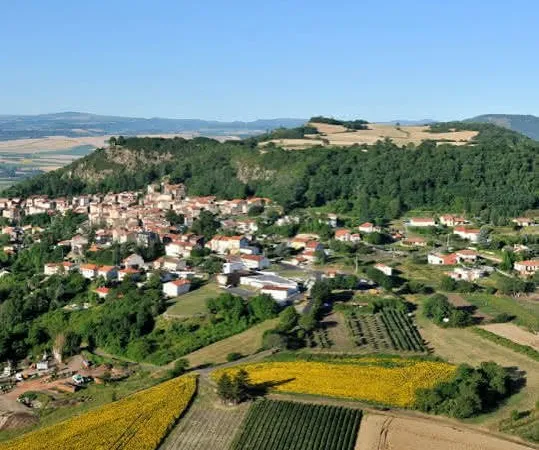 Terrain 35172 m²