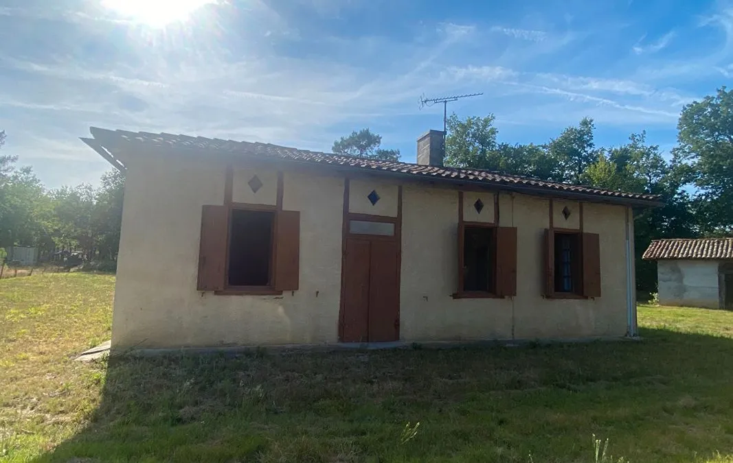 Photo 1