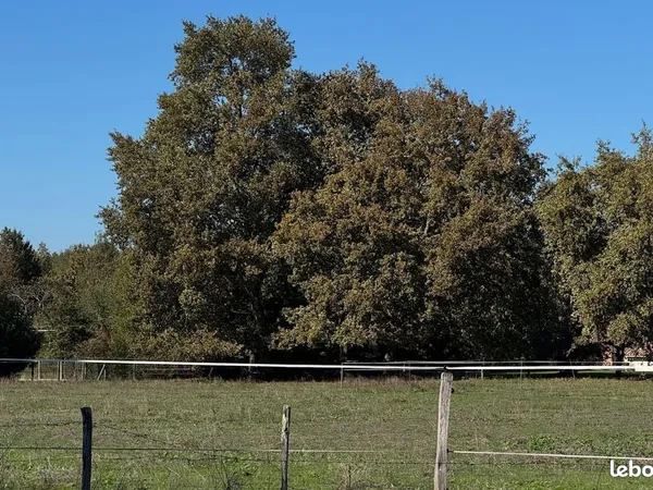 Terrain à bâtir de 532 m² à HOURTIN (33)