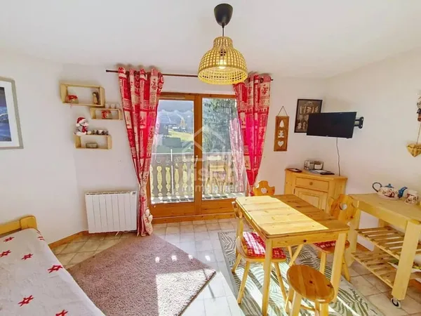 Appartement 1 pièce 20 m²
