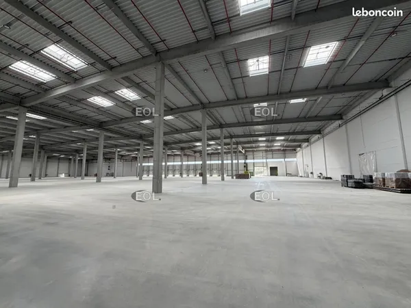 Local logistique 50 166 m²