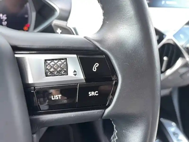 Ds Ds 3 ds3 crossback puretech 130 eat8 — photo 87