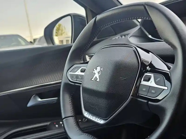 Peugeot 3008 phev hybrid 180 eat8 — photo 13