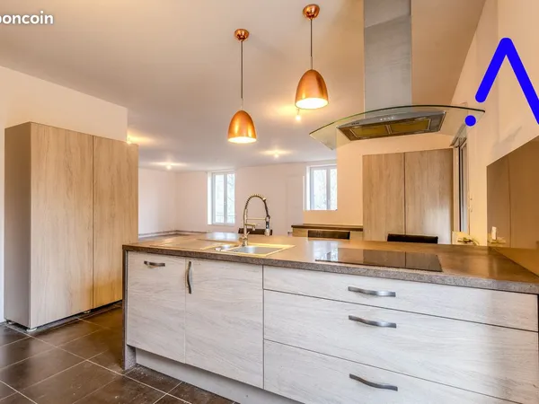 Maison de ville 6 pièces 275 m²