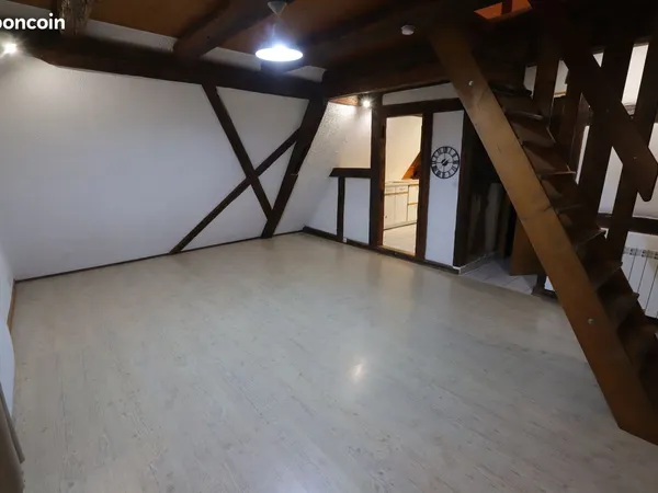 Coquet loft /F2 Ribeauvillé Centre