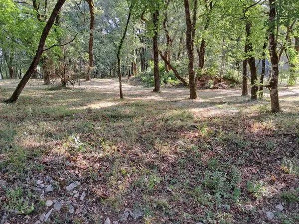Terrain boisé constructible