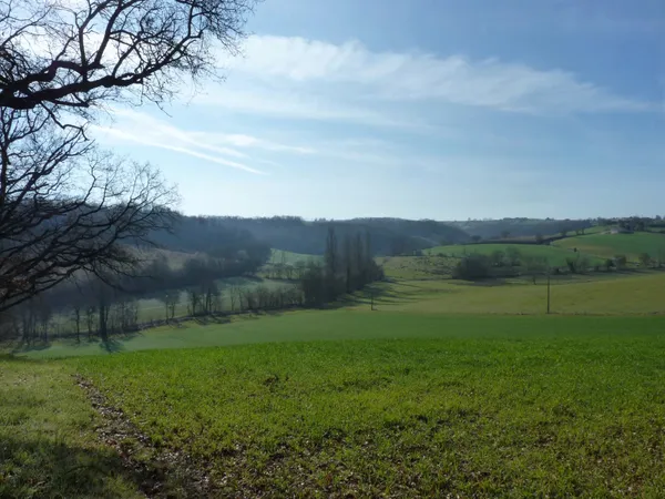 Terrain en individuel 5000 m²