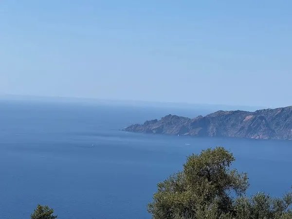 Terrain 1965 m²