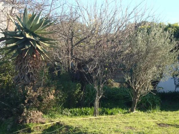 Terrain 550 m² Pignans