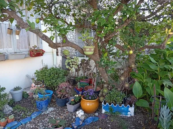Maison à vendre à Perpignan Las Cobas 72 m2 3 chambres