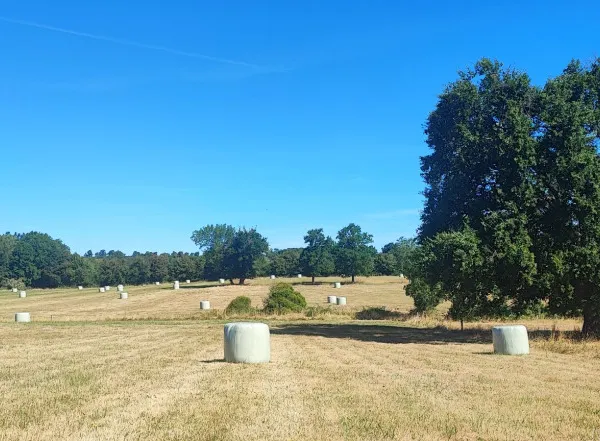 Terrain agricole 102500 m²