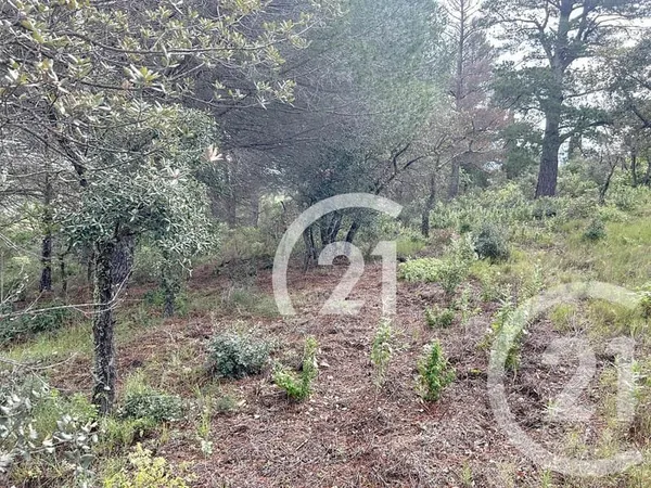 Terrain 10300 m²
