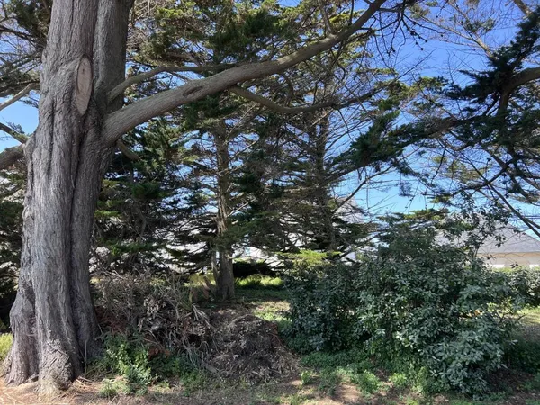 Vends terrain