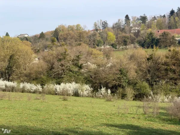 Terrain 8910 m²