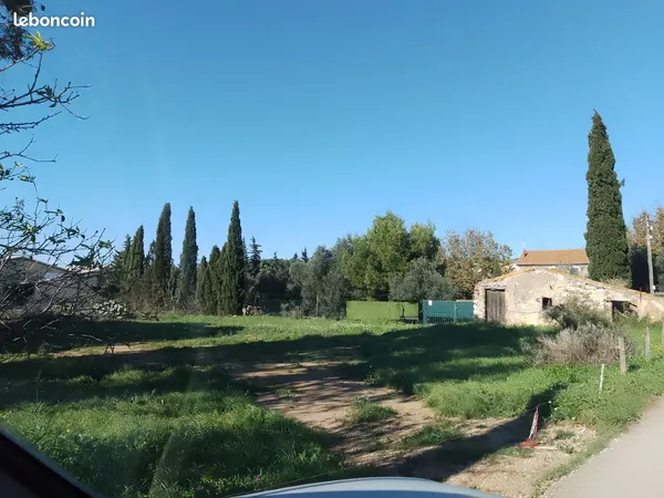 Terrain agricol