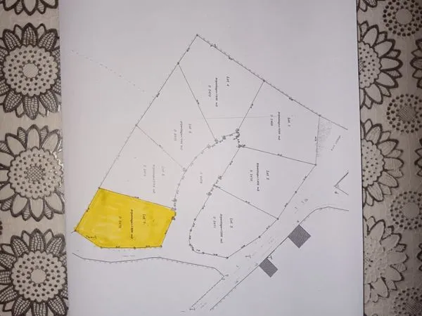 Terrain bâtissable 1 388 m² viabilisé - Idéal projet familial ou investissement / division (25 000 )