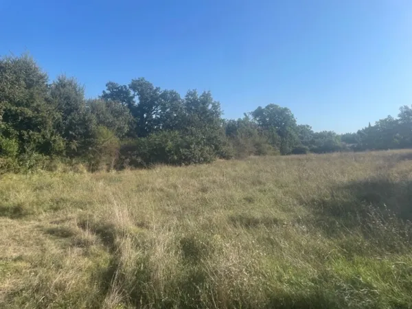 Terrain 1000 m²