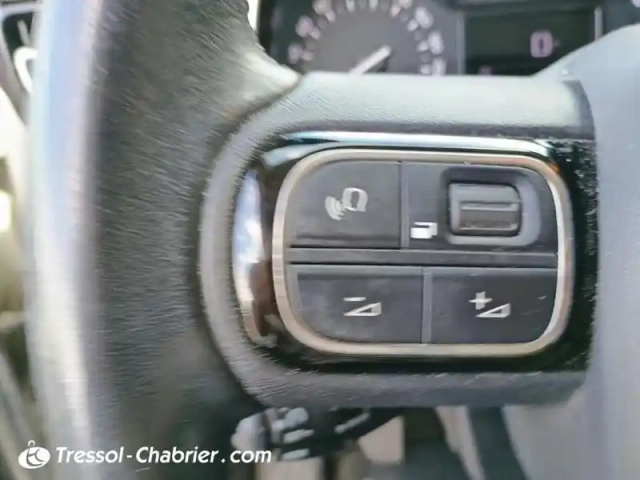 Citroën C3 Aircross bluehdi 100 s&amp;s bvm6 shine — photo 19