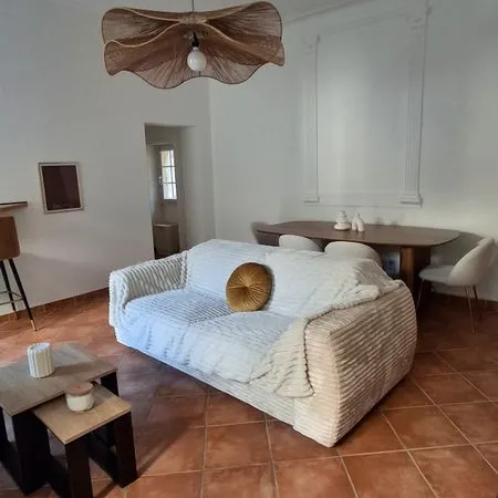 🏡 à louer - bel appartement meublé de charme avec grande terrasse - centre historique