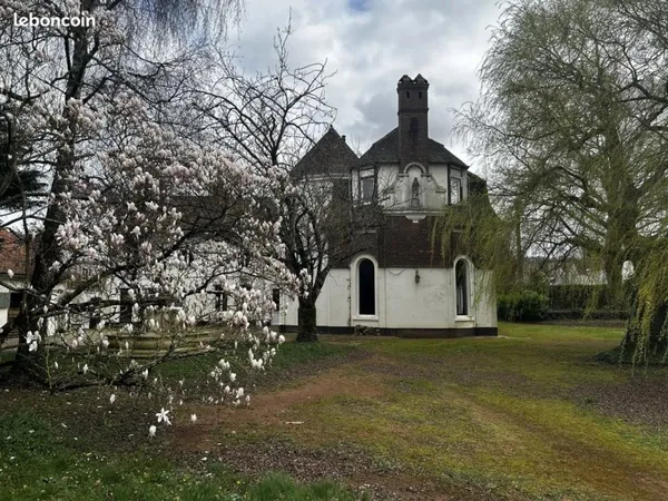 Hôtel particulier 9 pièces 433 m²