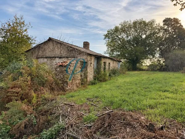 Maison à rénover - Drain