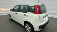Fiat Panda Pandina 1.0 65ch BSG S&S Hybrid Icône (Step1) — photo 6