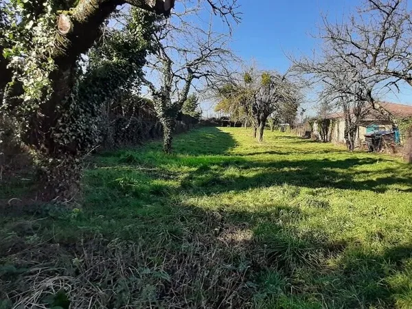Terrain constructible