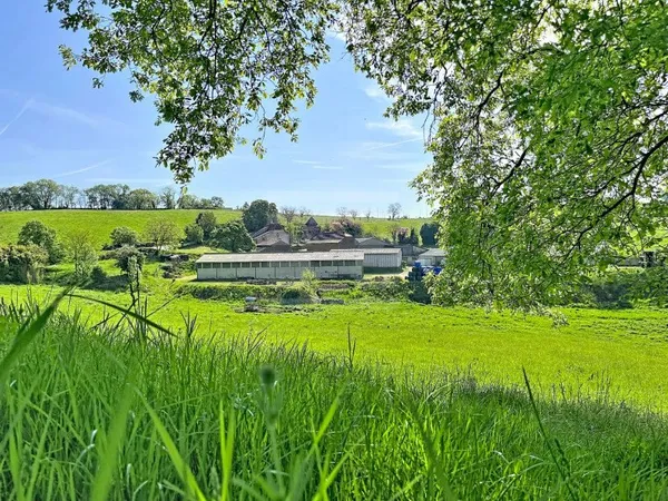 Exploitation bovine 9 pièces 163 m²
