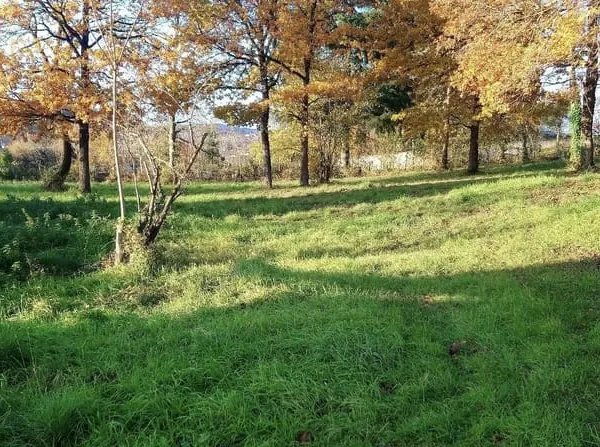 Terrain constructible
