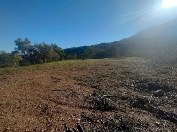 Terrain 1307 m²