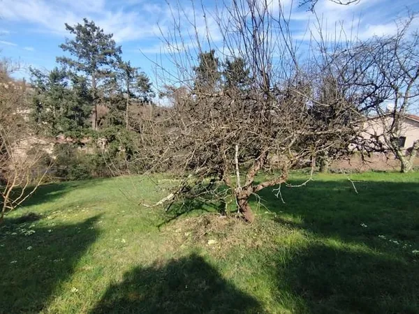 Terrain 703 m²