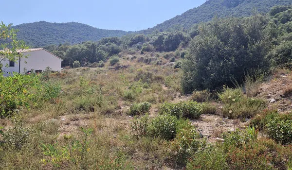 Terrain 1317 m²