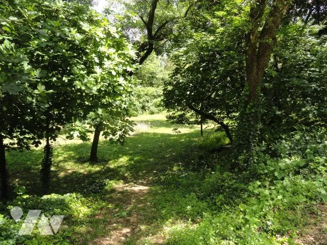Photo 27