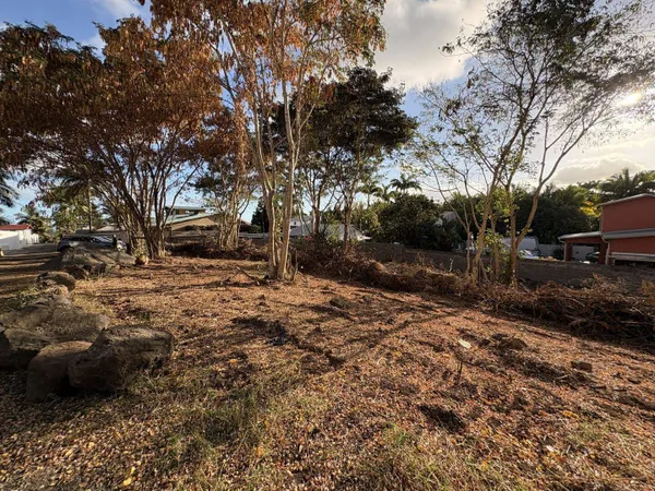 Terrain 350 m²