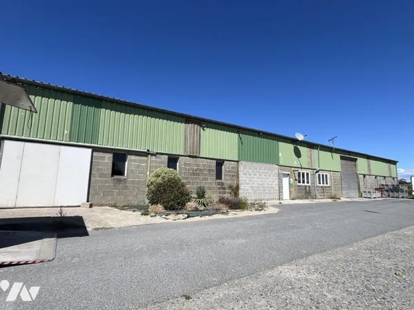 Local 1300 m²