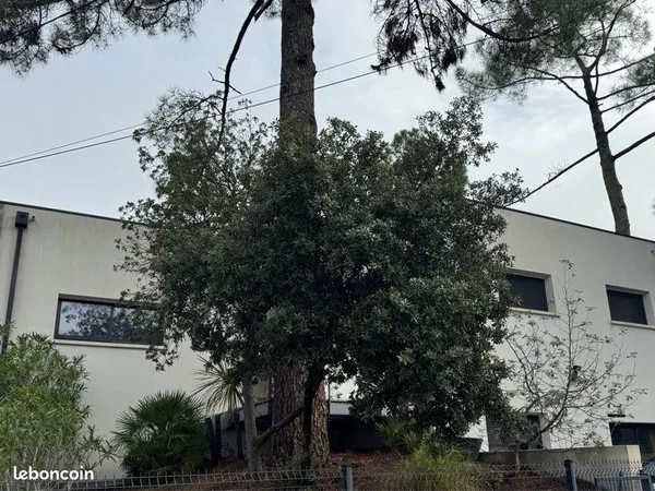 MAISON Contemporaine