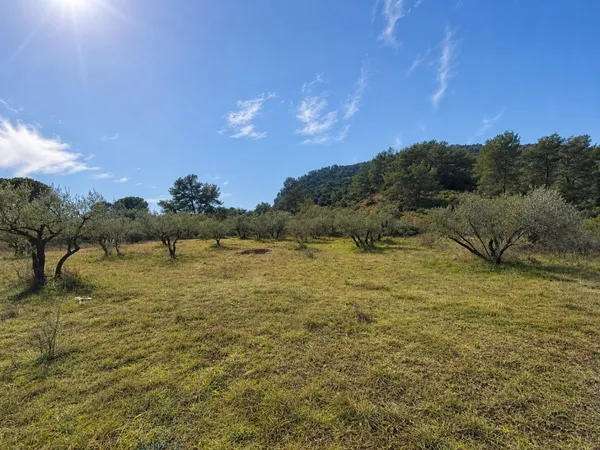Terrain 480 m²
