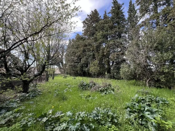 Terrain constructible