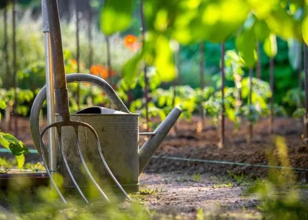 Jardin potager à Perpignan