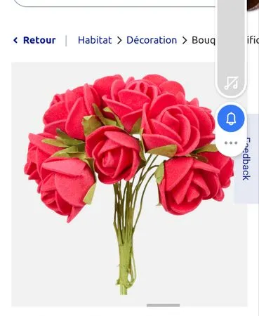 Colocation loue